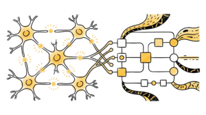Dallo studio dei neuroni nuove strategie per migliorare la memoria dell intelligenza artificiale